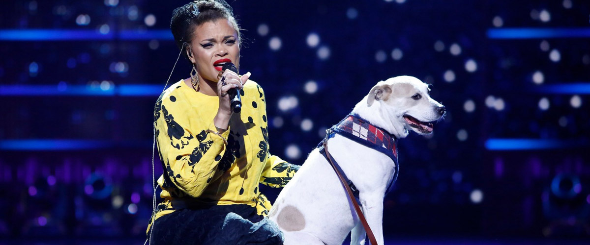 Andra Day On Her Pup, Lucia: “She Makes Me Happier!”