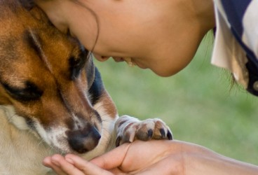 3 Ways a Rescue Dog Can Rescue You