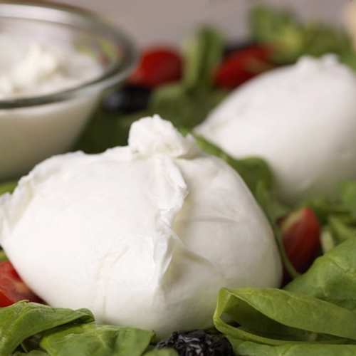Mozzarella on a bed of greens at Obica (source: instagram)