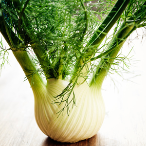 fennel