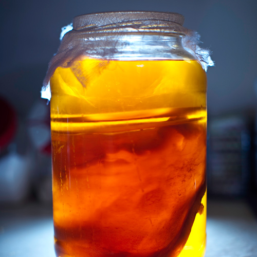 Benefits-of-Kombucha-Tea-and-How-to-Make-It-3