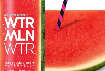 What's Better Than Beyoncé's Lemonade? Her Watermelon Water.