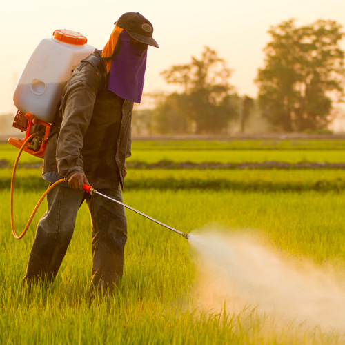 Things-You-Should-Know-About-Systemic-Pesticides-2