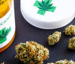 Marijuana Effects on Mental Health and How to Prevent Them